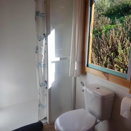 Petirrojo Vejer de la Frontera