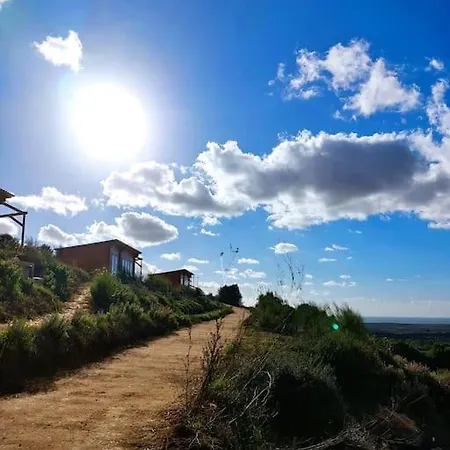 Petirrojo Vejer de la Frontera